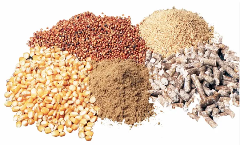  کنسانتره چیست و از چه موادی تشکیل شده است؟